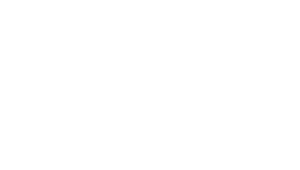 blue water logo white